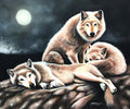 The Pack